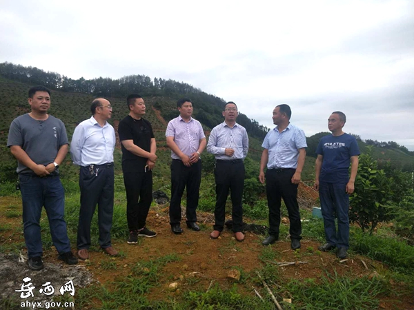 县林业局到福建等地考察香榧产业