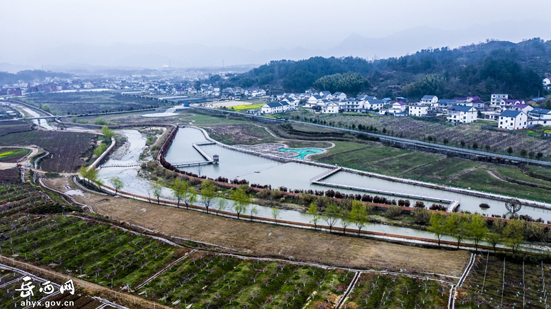 【飞“阅”岳西】阳春时节，共赴桃花之约