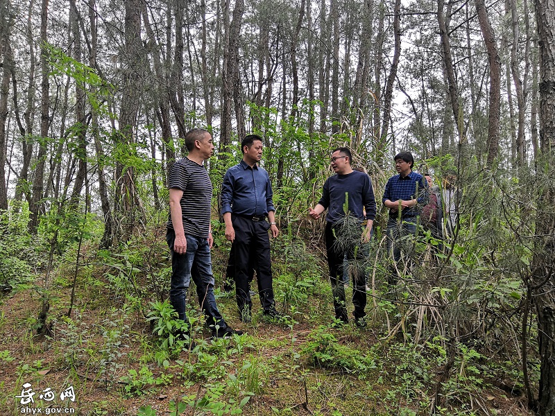 汪训卫督查叶坂村境内重点项目推进