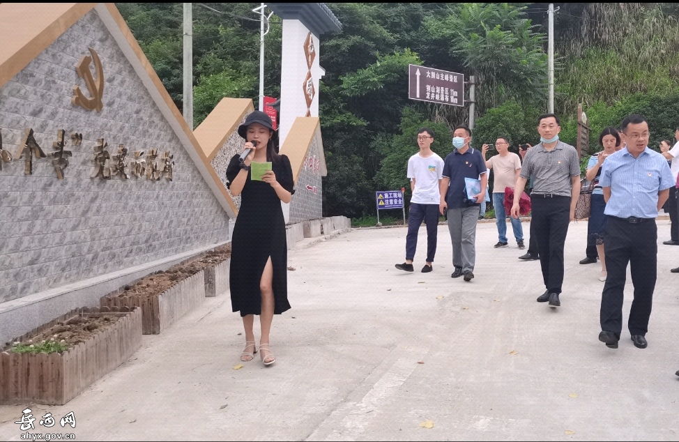 庆祝建党100周年暨全市“小个专”党建工作推进现场会在黄尾镇召开