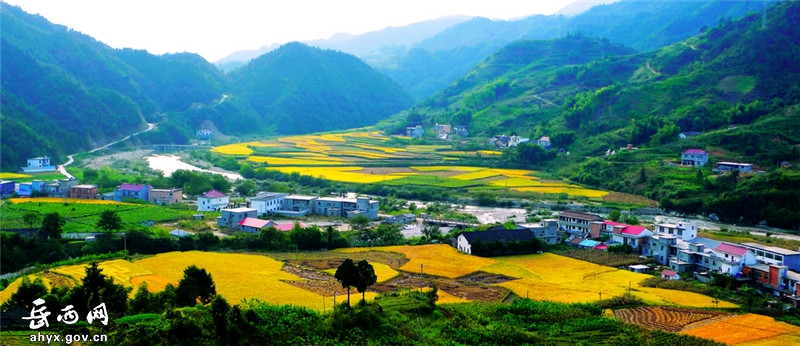 黄尾村：中国乡村旅游模范村