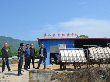 县农业农村局到冶溪镇指导“机械强农”水稻育插秧中心项目建设