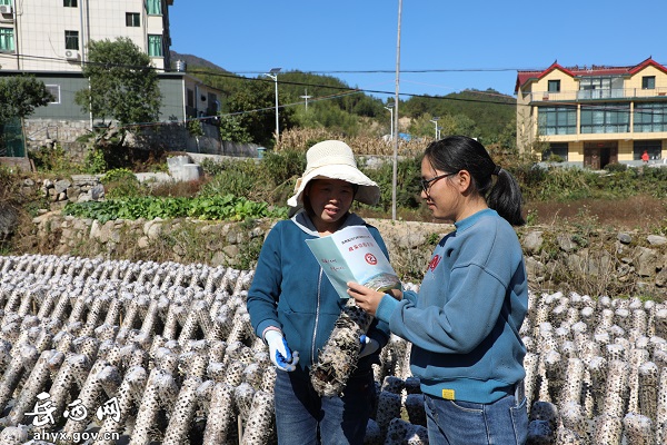 太阳村：把民生实事政策送到田间地头